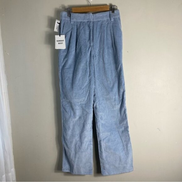 Aritzia Sunday Best Harvey Pant in Dune Blue size 4 corduroy slouchy pleated NWT - Picture 3 of 14